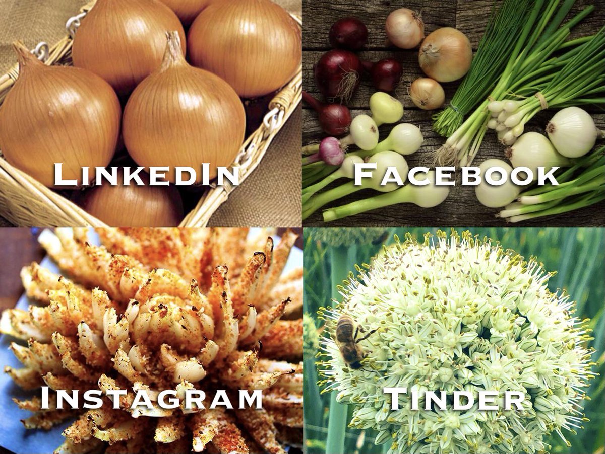cepullia's tweet photo. #uien #onion #oignon #ognon #cebolla #dollypartonchallenge https://t.co/1Q2jxqpqhb
