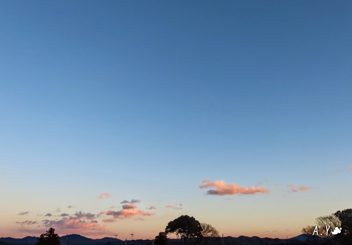 yumeasutw's tweet photo. 黄金色の #夕焼け 💛✨
お疲れ様です🏁
冷たい西風が吹き抜ける夕方🌇
西の彼方の雲は黄金色に、東の雲は茜色に染まりました💛♥️
羽を膨らませ電線に仲良く佇み、 #夕空 を眺める #雀 さん達🐦🐦🐦
#鉄塔 #電線 #電柱
#空の名前
#雲の教室
#ゴールデンアワー
#黄雲
#スズメ
#a2021 #a0129 #a202101 https://t.co/wRbyP8ufvU
