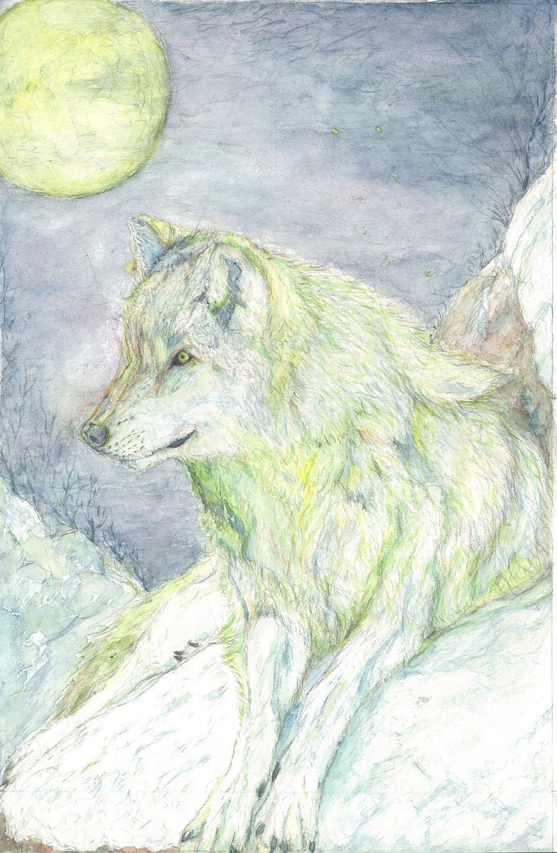 Animal おのみち ウルフムーン は見れそうにないので 描いてみました 一日一アニマル 水彩 水彩画 オオカミ 満月 孤狼 縦画像