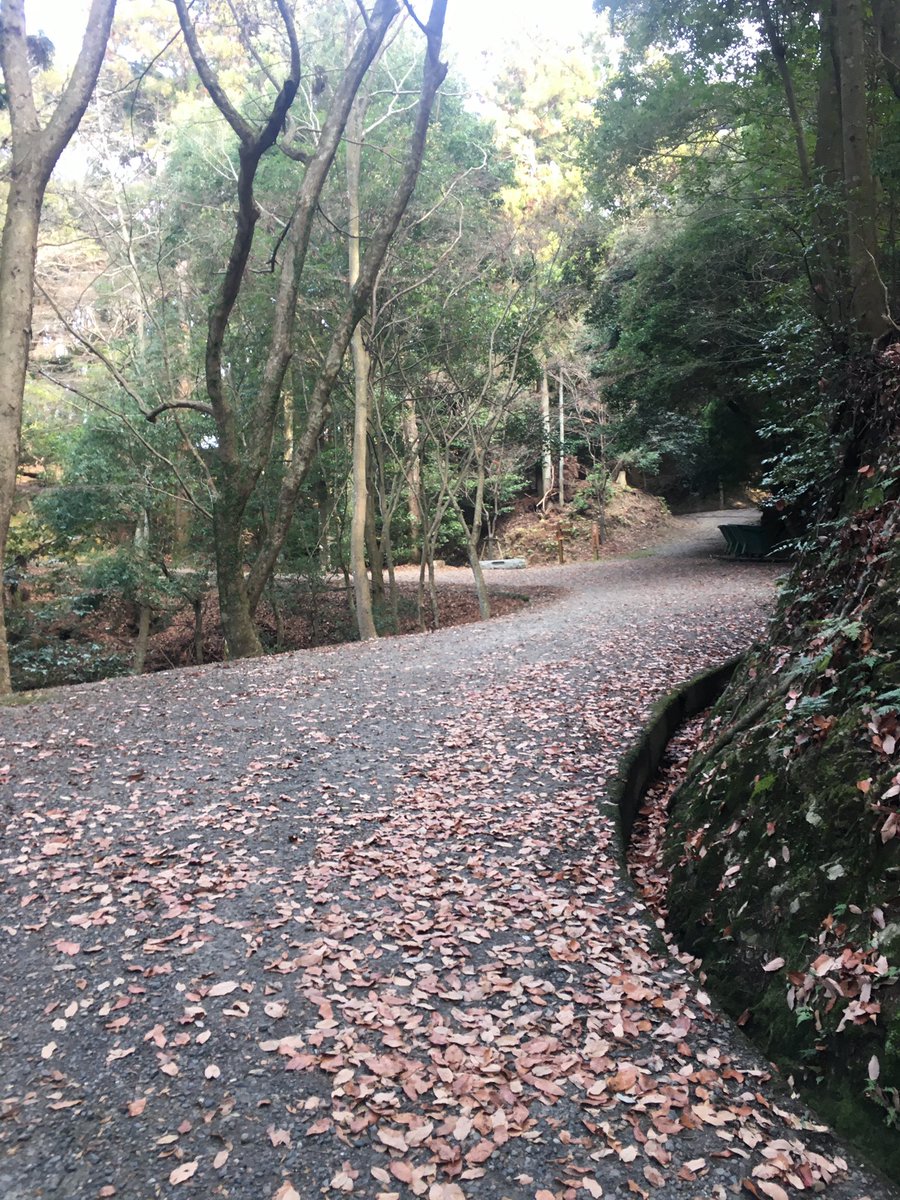 Tinyaxina's tweet photo. #見た人もなにか無言で奈良あげる https://t.co/uOVAKCeIgn