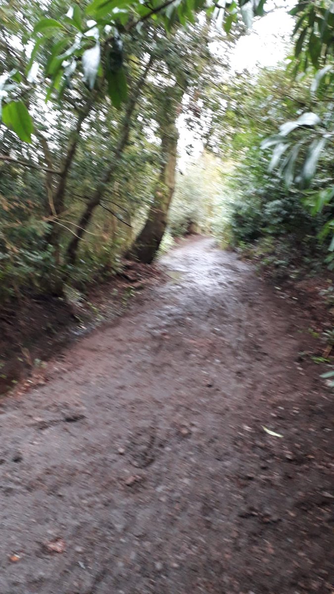 LickeyHillsGolf's tweet photo. Lockdown day 25 , Paul is scraping the bridle path that runs from the clubhouse to each way lane , so it will be nicer to walk on , should get less muddy when walking 😀
#lickeys #lickeyhills #nature #bridlepath #golf #golfer @LickeyHills https://t.co/4W2H4wPRQz