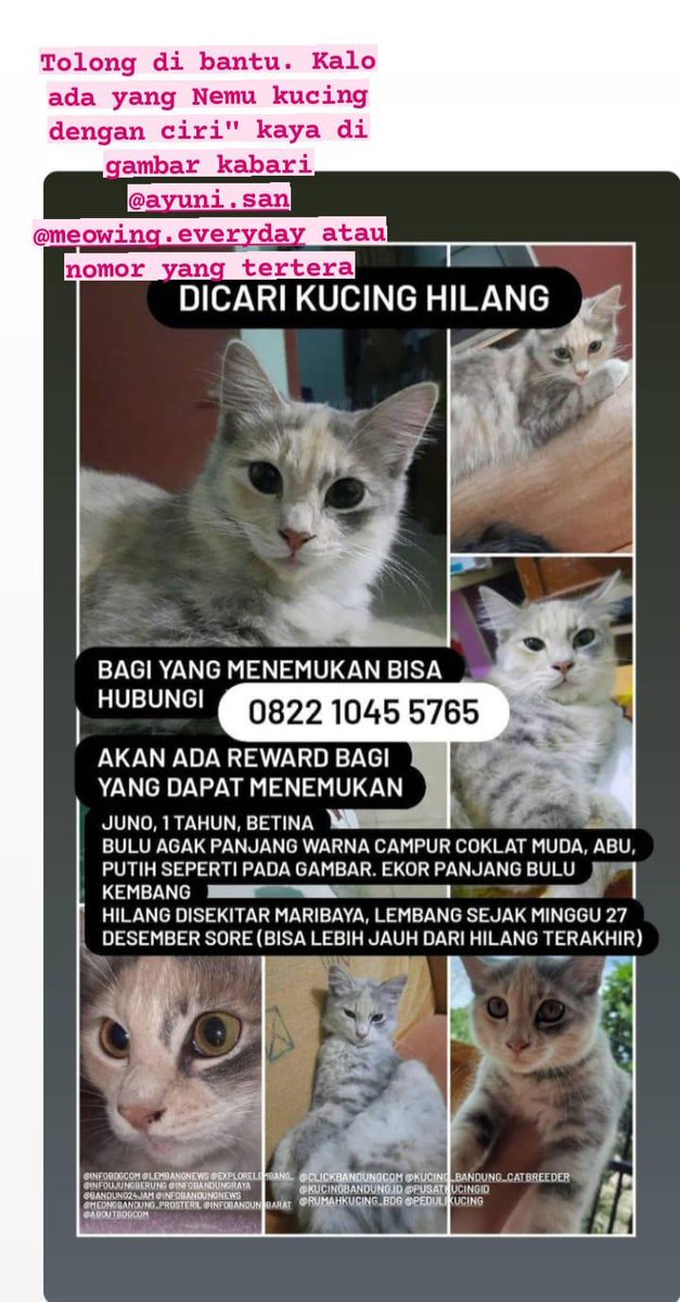 shafira kh. (@hikarinohibi472) Twitter