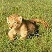 “Beautiful 🙌”                         🤦‍♂️