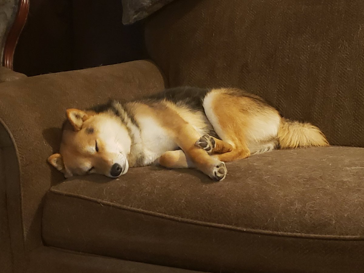 Tired after a long day at work.