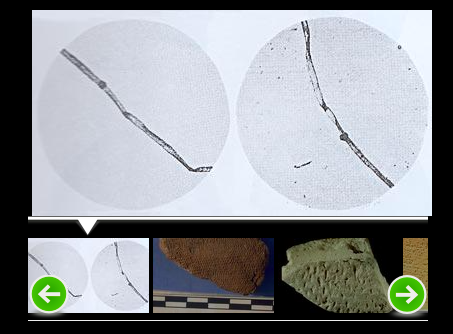 IndicHistory's tweet photo. #ThankIndia because: The first thread of #cotton was spun and then woven into a #fabric in #India, 5000 years ago. Archaeologists believe that this happened between 3250 - 2750 BCE.
Cotton tetiles were first discovered in 1929 in Mohenjo-Daro.
Image: https://t.co/Xdjq4bF3xx https://t.co/KGpG0gdkDP