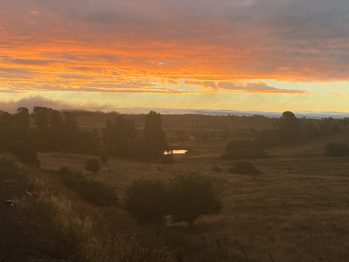 Edmiston Jones tweet media