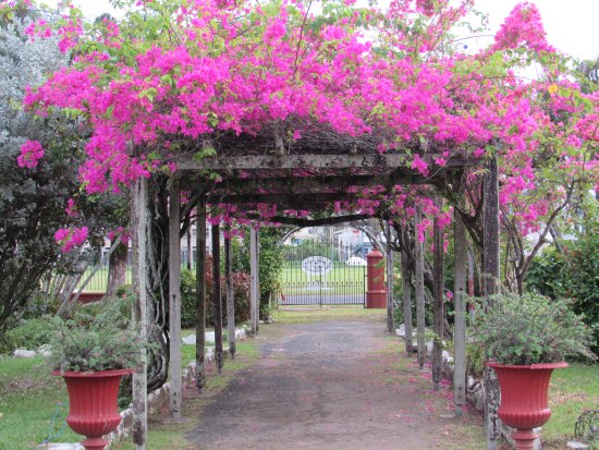 Tonight's site is Promenade Gardens in Georgetown. The origin of this park is very sad. In 1823 slaves who were convicted of being involved in a rebellion were hanged there. In the 1850's it was decided to turn the area into a garden in honor of the victims.