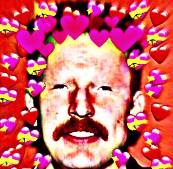 gingerchriscult's tweet photo. https://t.co/uwLQZRtkBf