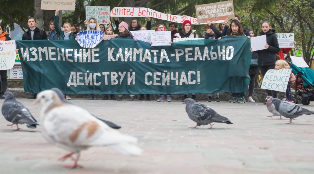 зеленые правые. правые зеленые партия. зеленые правые. голубь карабах экоактивисты. русский марш 2019.