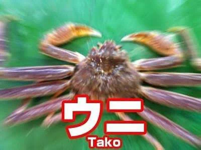 @BA43A_50 これを思い出した 