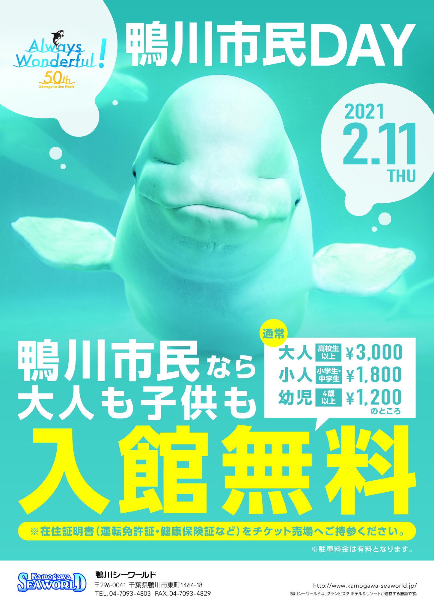 鴨川シーワールド 公式 鴨川市の市制記念日にちなみ 21年2月11日 木 祝 は鴨川市民を対象に入館料金が無料になる 鴨川市民day を開催します 鴨川市民の入館が無料になる他 鴨川シーワールド館長 勝俣浩による特別レクチャーをはじめ 地元物