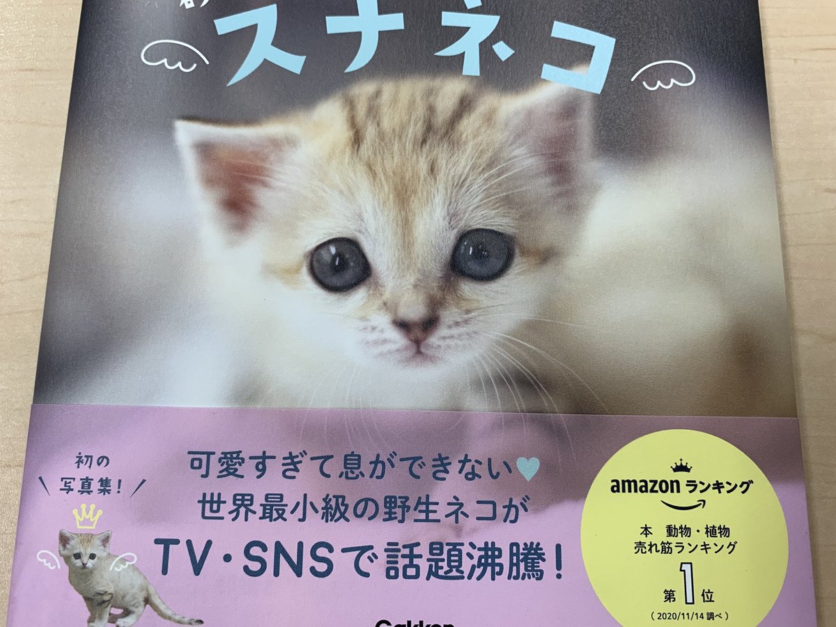 一匙のお砂糖で きたっ 真面目な話 可愛さを売りにした表紙は控えた方がって意見もあったみたい だけど 可愛い ってサッと手に取る人 スナネコ抱っこした いキャハ って人にこそ読んでほしい情報がたくさん載ってる 学研プラス 那須どうぶつ王国 一匙のお砂糖で きたっ 真面目な話 可愛さを売りにした表紙は控えた方がって意見もあったみたい だけど 可愛い ってサッと手に取る人 スナネコ抱っこした いキャハ って人にこそ読んでほしい情報がたくさん載ってる 学研プラス 那須どうぶつ王国
