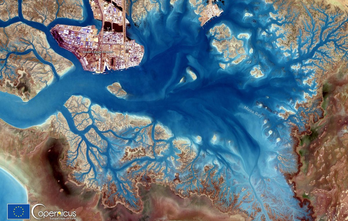 defis_eu's tweet photo. #EUSpace for #DigitalEU   #Copernicus 🇪🇺🛰️ supplies more than 10TB of #OpenData every day

In order to simplify access to it, @EU_Commission co-funds 5 cloud-based platforms known as the DIAS
They facilitate use of the data &amp; offer #EarthObservation data processing &amp; analytics https://t.co/129xJncxBJ