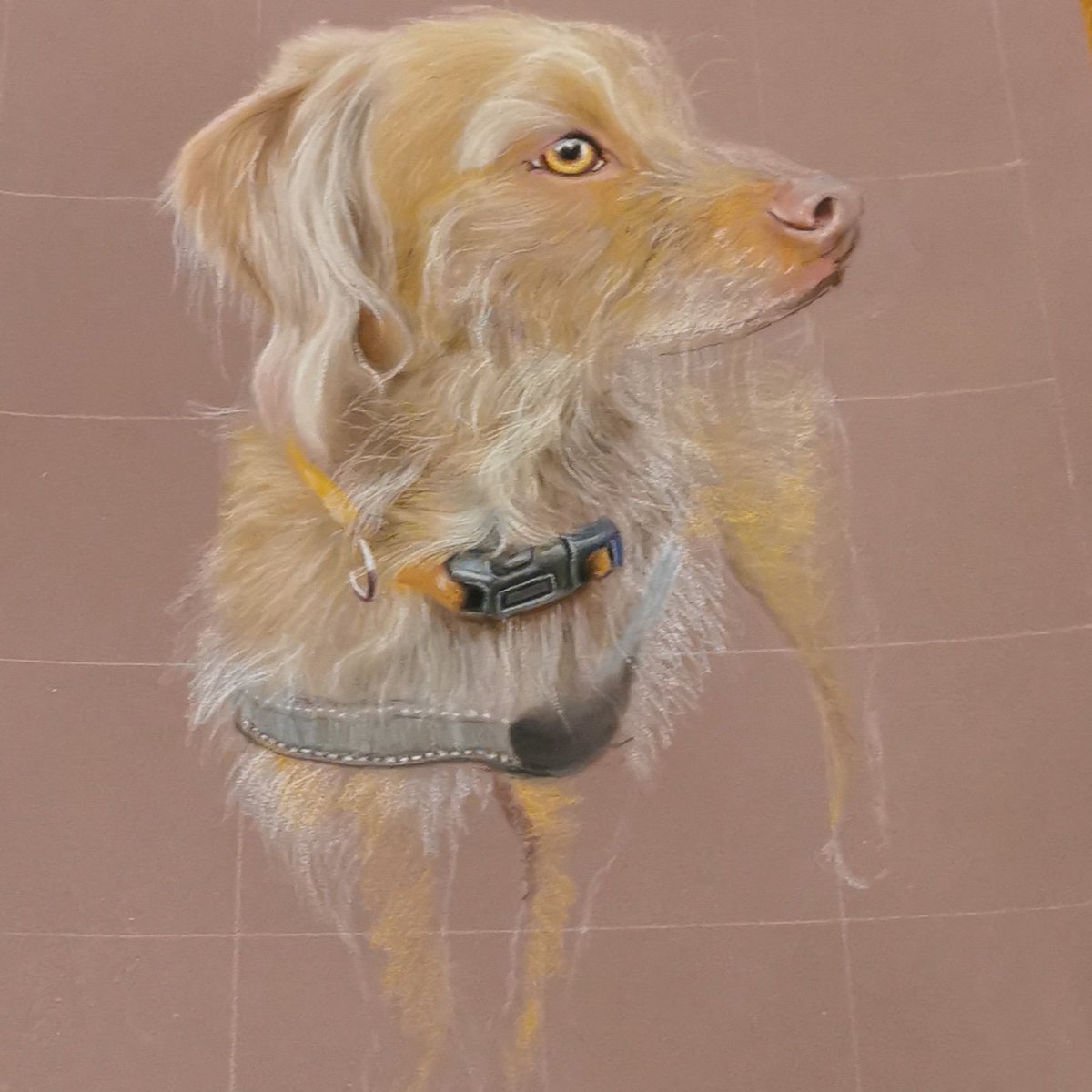 Theresa Holmes Art tweet media