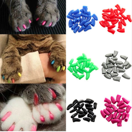 Dün, 165bin kişi takipçisi olan infuluencer, kedi tırnak kılıfı linki vermiş. 
Tırmanmak, tırmalamak, kaşınmak, kedilerin en doğal ve temel ihtiyaçlarındadır. Kediler, etraflarını tırmalayarak feromon salgılayıp bölgelerini işaretlerler. Bunu onların elinden almaya hakkınız yok.