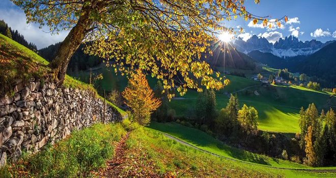 Siempre puede empeorar, dicen que lo malo es fantástico al lado de lo muy malo. #FelizViernesATodos vía <a href="/photo5065/">Photographer</a>