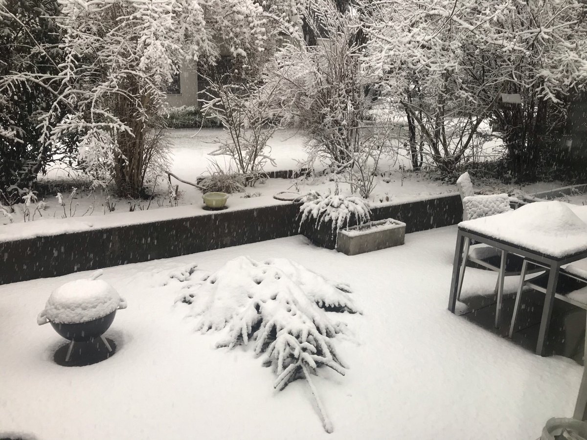Kryophil's tweet photo. How it started (14.01.2021)
How it was going (15.01.2021)
How it ended (29.01.2021)
Das hat der #Pissdown mit dem #Flockdown in Zürich-Witikon auf 620 m angestellt. https://t.co/t5paNwj49h
