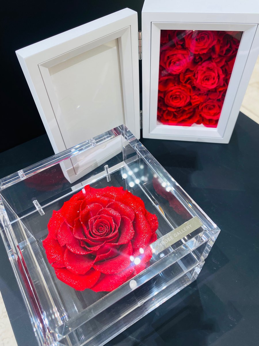 Timelessrose Timelessrose