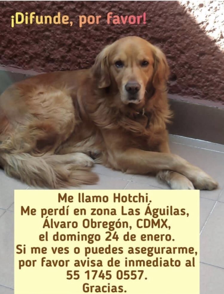 Isabel Junco tweet media