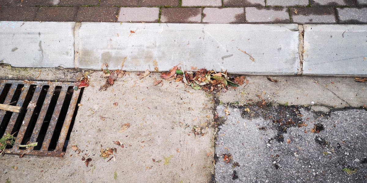 11Lagz's tweet photo. Después de las borrascas... ¿¿Para cuando una limpieza de calles?? #Meco #MecoFunciona @AytoMeco @lmartinnotario @MecoPopular @PSOEMeco @En_Meco_Podemos @MecoVox @CsMeco @BARCIA_NENE @MiguelSALSOPATA @francoronita @Meco_News @vgomez258 @algueju @fisicolopez @Jaimers83 @gima0507 https://t.co/khqiNAHOAj