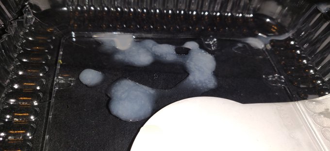 Pics from my two Aneros &amp; Chastity videos.  #chastity #Aneros #Prostate #Anal #Sissygasm #Analgasm #Ass<a href="/tag/chastity"class="tags">#chastity</a><a href="/tag/ass"class="tags"><span>#ass</span></a><a href="/tag/orgasm"class="tags"><span>#orgasm</span></a><a href="/tag/sperm"class="tags"><span>#sperm</span></a><a href="/tag/anal"class="tags"><span>#anal</span></a><a href="/tag/cumshot"class="tags"><span>#cumshot</span></a><a href="/tag/cum"class="tags"><span>#cum</span></a><a href="/tag/jizz"class="tags"><span>#jizz</span></a>