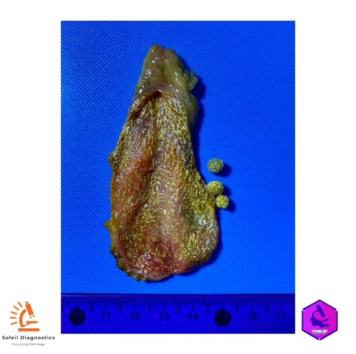 Pathology Student Forum tweet media