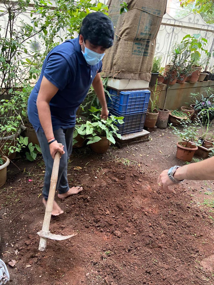myhomesteadagro's tweet photo. A curated workshop for a client in Pune. We helped the client set up a Farm Patch according to their dietary needs. We cannot wait to see the results &amp; our clients enjoying the harvest.

Call/WhatsApp +91975911618/+919175991618

Email: sales@myhomestead.in

#urbanfarm #homestead https://t.co/1V94uBvArk