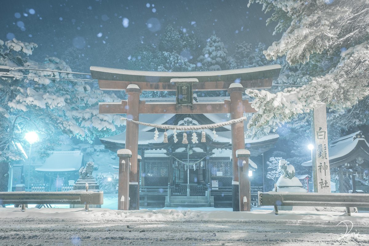 うさだだぬき 雪の白鬚神社が幻想的な美しさ