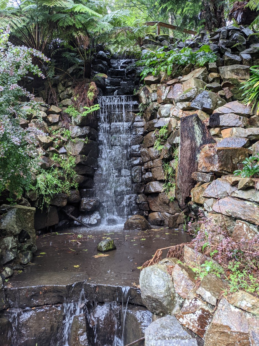rebecca_le_get's tweet photo. On a wet day like today, why not go look at some more #water? At the Alfred Nicholas Memorial Gardens, Dandenong Ranges, Melbourne. Named for one of the Nicholas brothers who made their fortune with Aspro in Australia: https://t.co/FS2vkas4AZ #medhist #austhist https://t.co/ODJwnBB1q8
