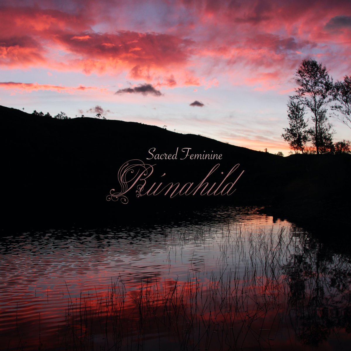 Rúnahild tweet media