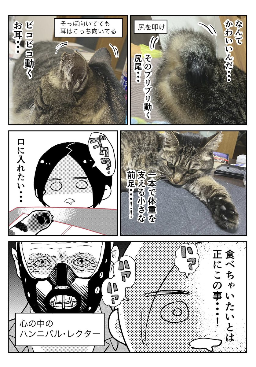 Twoucan 天道グミ Kawakimon Twoucan 天道グミ Kawakimon
