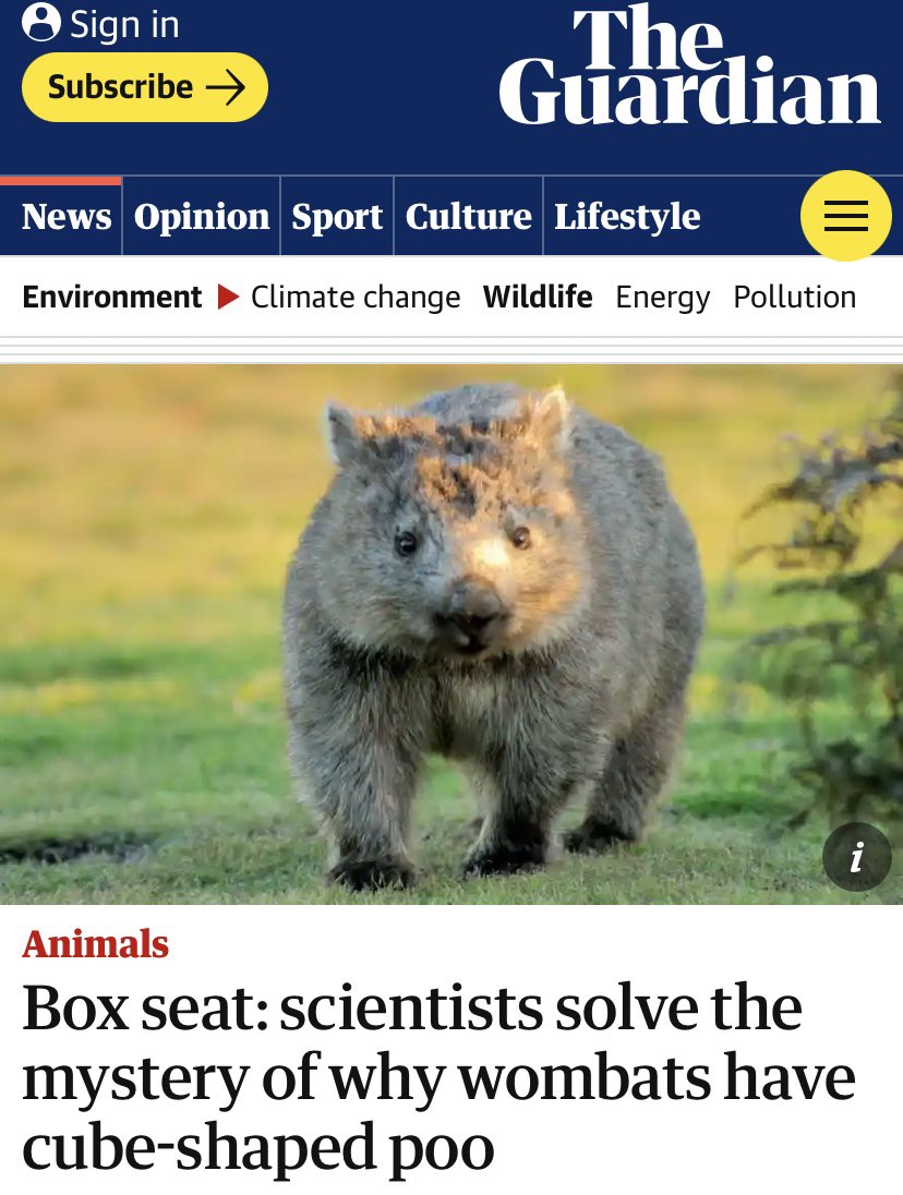 David Bailey tweet media