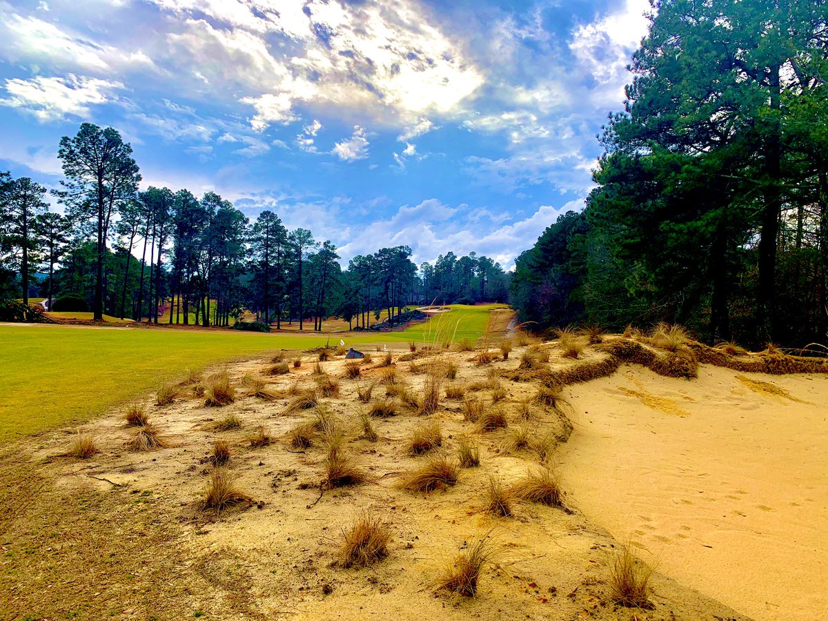 SHistorians's tweet photo. A walking tour of the current state of @KyleFranzGolf’s  restoration of Southern Pines. 

If this wasn’t on your radar put it on it NOW. This overlooked Donald Ross is going to blow you away in the Fall of 2021! 

@feedtheball 
@the_fried_egg 
@McKellarJournal 
@GolfersJournal https://t.co/H2bCinraGd