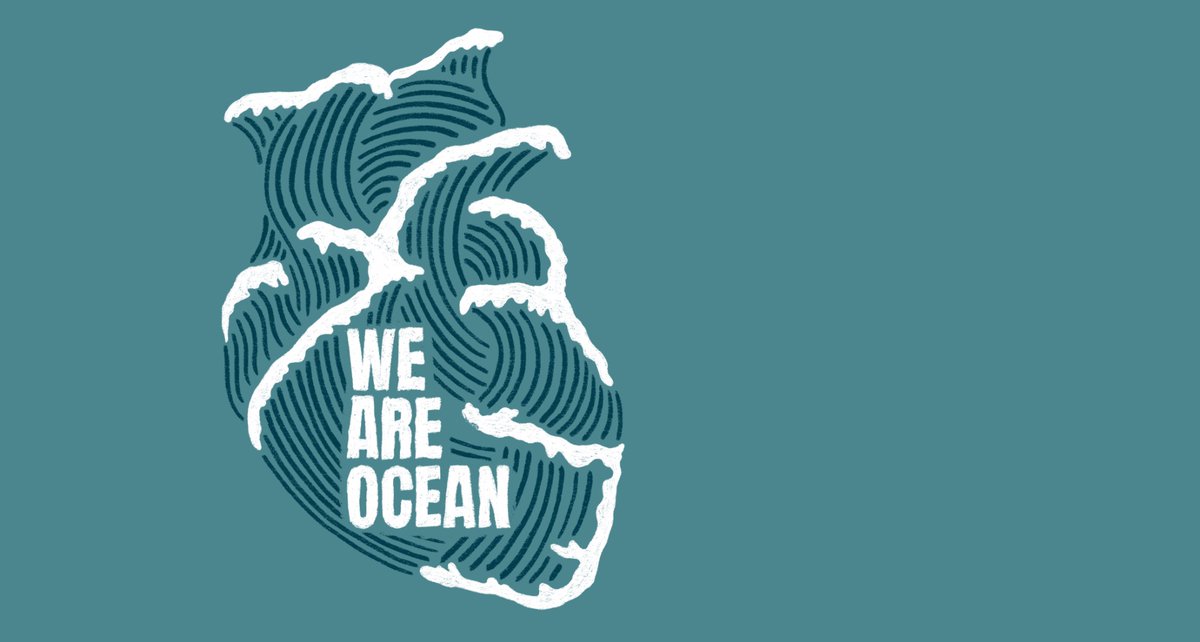 freestater's tweet photo. So that was the #WeAreOcean Summit.  Right now I'm letting all the words &amp; ideas buzz around in my head as I breathe in oxygen from the sea and breathe out gratitude for the ocean &amp; all the folks who love it, just like @hanliprinsloo taught me :) Thank you. https://t.co/5G6CyiAXCD