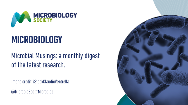 MicrobioSoc's tweet photo. In this month’s #MicrobialMusings, we welcome our 21 new Editors with expertise spanning the breadth of microbiology and @GavinHThomas highlights the latest research published in #MicrobioJ
https://t.co/dzMh0pMzPh https://t.co/azDhntv8uc