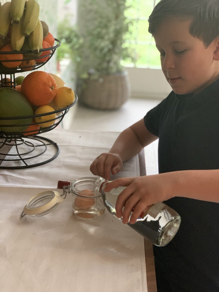 EagleHouseSch's tweet photo. Bouncy Egg experiment in Year 5 #Science #EagleHouseLearningforLife #EagleHouseScience #bouncingegg @EHLearning https://t.co/LbYfCjJnpp