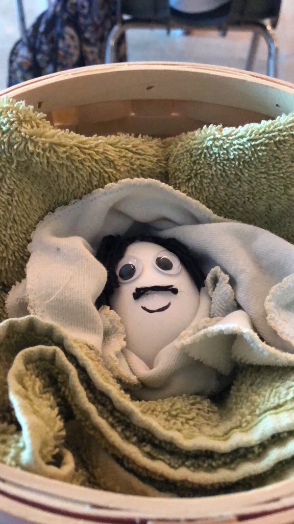 deshurleyb's tweet photo. eggnio’s last day #eggbabieskoch https://t.co/hX7vVenlbG