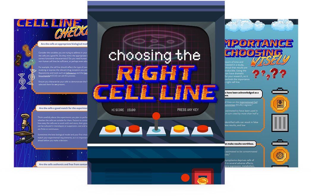 HZDiscovery's tweet photo. Find out the "dos and don'ts" for choosing a cell line for fast, optimal experimental results in this new infographic created by @Tech_Networks. #CellLineEngineering
https://t.co/8UuyJLwxMw https://t.co/YpVbbEQYbA