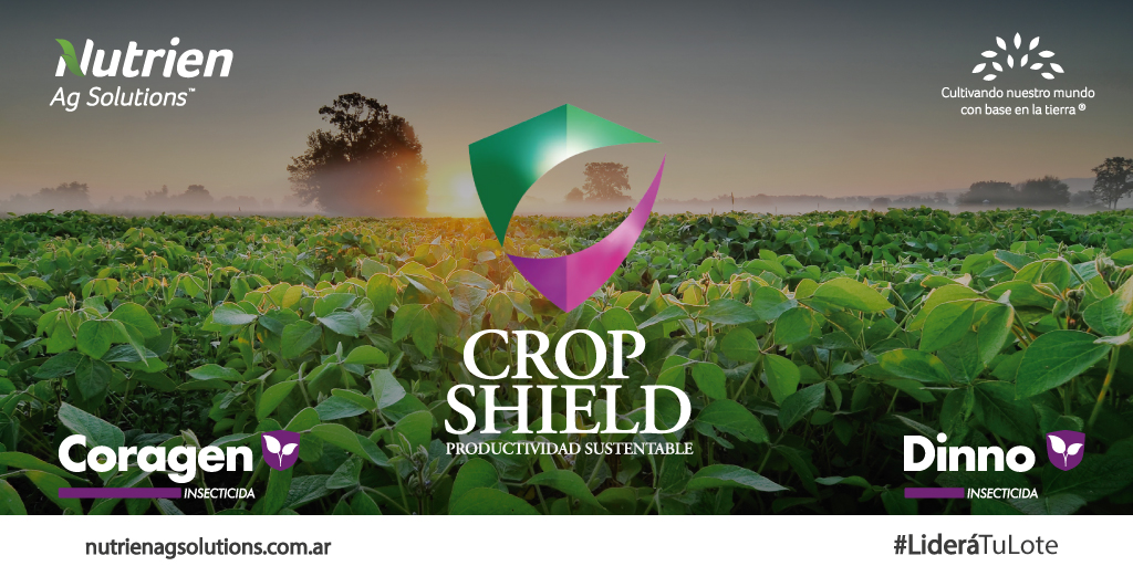 🛡️ El escudo perfecto para la protección de cultivos.
Crop Shield. Tecnología probada y comprobada en la protección integral del cultivo de soja.
¡Optimizá los tiempos y lográ una máxima productividad!
.
#NutrienAgSolutions #FMC #Cropshield #Soja #LideráTuLore