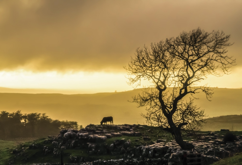 Come rain or shine, Yorkshire still looks beautiful, whatever the weather may bring ☀️🌧️ 

📸 Carol Fitton