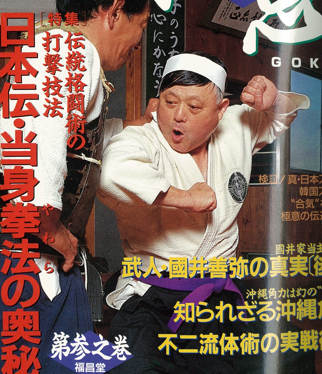 3冊 柳生心眼流 日本柔術当身拳法 日本伝統武術真諦 小佐野淳