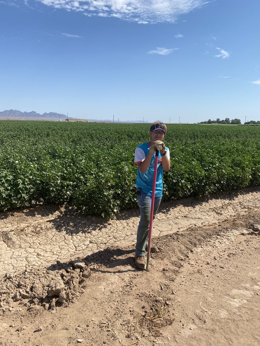 In June and July my boys cleaned up a few weeds that missed our 2 application of herbicide(1 of glyphosate and Prowl H2O layby) and our couple of cultivations. No one appreciates good weed control from herbicide & cultivation more than those of us who chop the rest of the weeds.