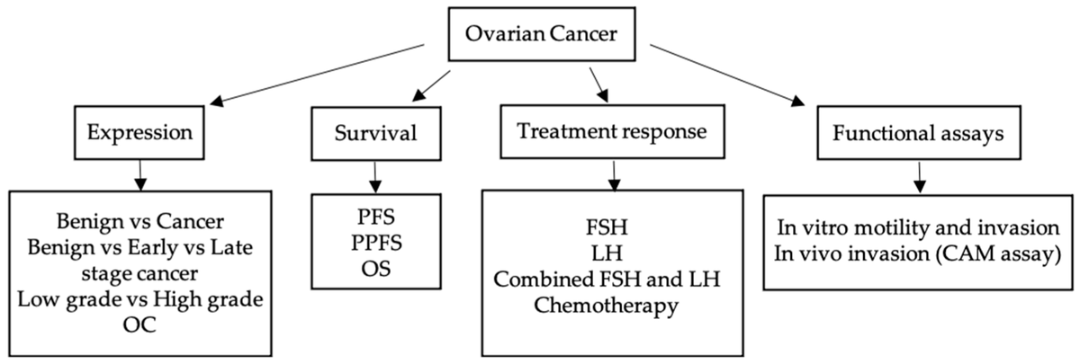 Standard_BioT's tweet image. Key ovarian cancer study by @UniofAdelaide researchers indicates a role of the piRNA (small noncoding RNAs) pathway genes in cancer progression. 

#ovariancancer #Biomark #microfluidics #qRTPCR #geneexpression

mdpi.com/2072-6694/13/1…