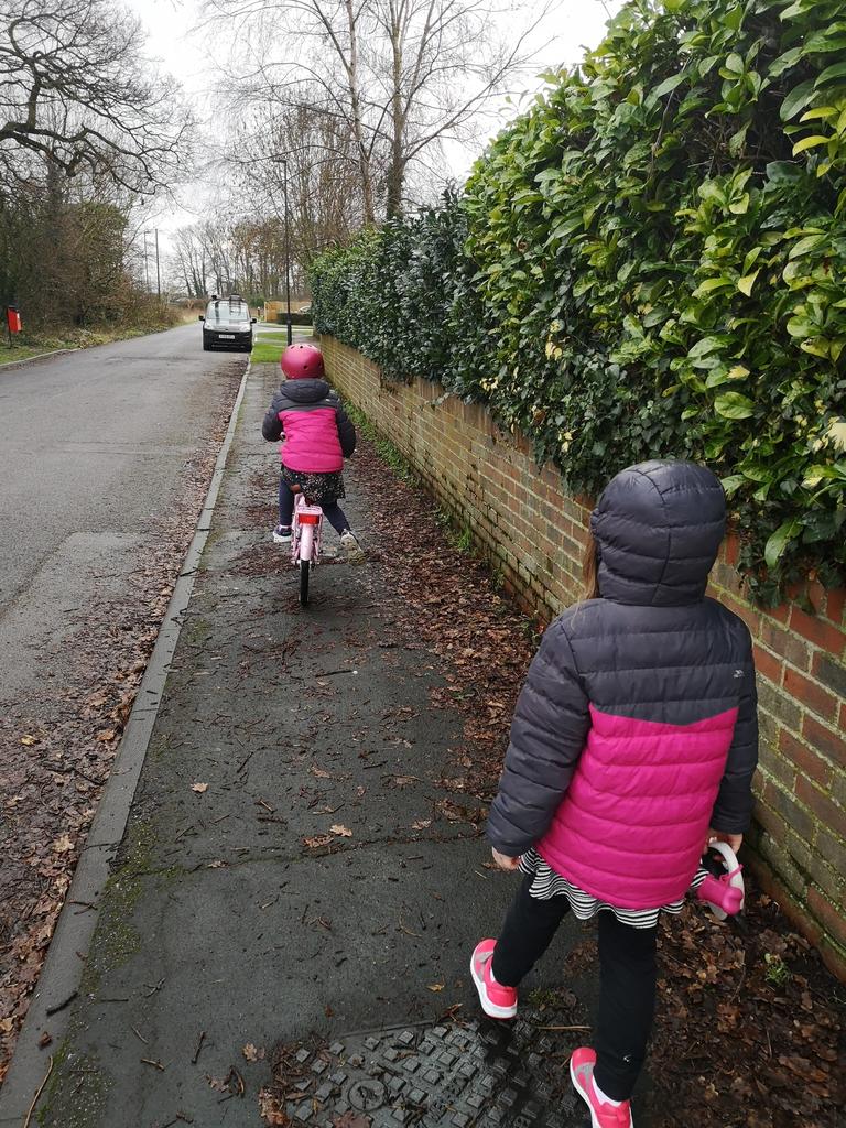 DavidSeaman0581's tweet photo. Daily exercise, dog walk/bike @Miss_Spark_ @MrsAHunter1 @staynorHprimary https://t.co/UO8DWGMjVW