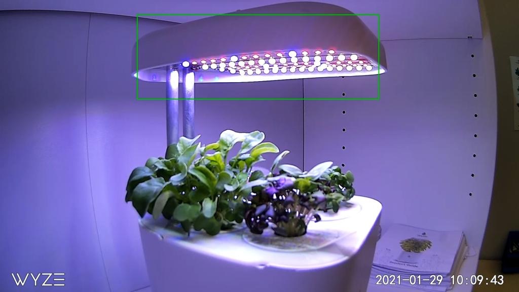 Ne mož' gedžet danas da dobije malo privatnosti, pa to ti je..
@ntp_beograd
#smartgarden life