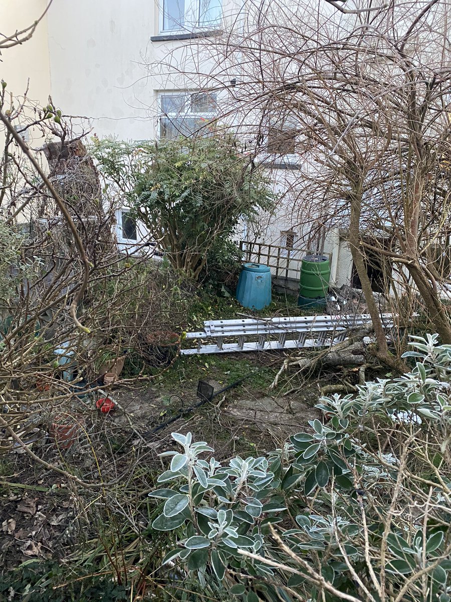 DevonGardenSolutions tweet media