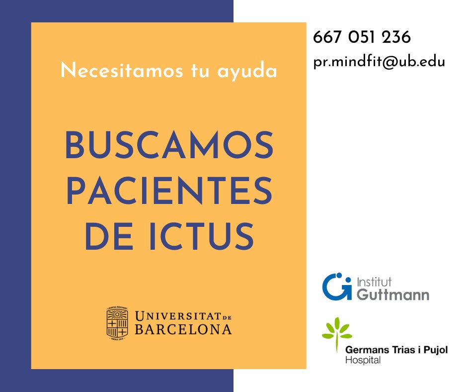 MindFit Project tweet media