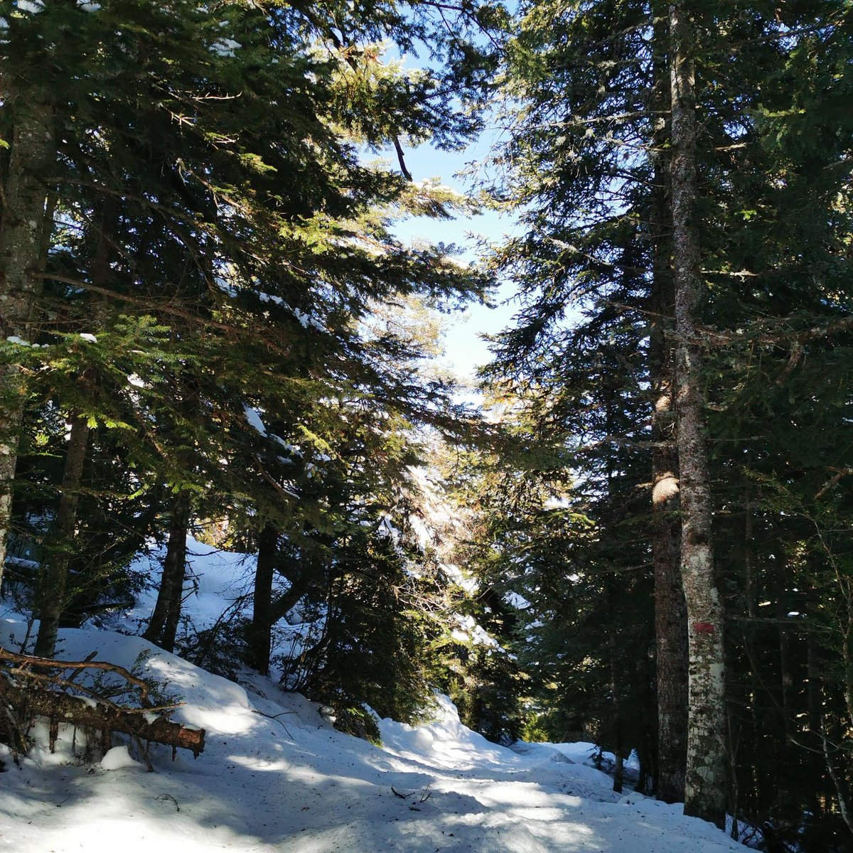 Direction L'Audibergue, pour : une rando raquette, un lit de sable chaud, une via souterrata ou une balade dans la neige. Tout sur cette station avec vue à couper le souffle :

riviera-city-guide.com/audibergue-la-…

#cotedazurfrance #alpesmaritimes <a href="/OTPaysdeGrasse/">Pays de Grasse Tourisme</a> <a href="/Greo1400/">GréolièresLesNeiges</a> <a href="/VisitCotedazur/">Côte d'Azur France</a>