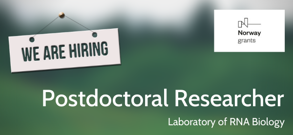 IIMCB_Poland's tweet photo. Laboratory of RNA Biology headed by Prof.#Dziembowski seeks a #Postdoctoral #Researcher
More: https://t.co/vlvxO93m85
Deadline: Feb.15,2021
#JobOffer #IIMCB #job #postoc #NSC #NCN #GRIEG #AndrzejDziembowski, #DziembowskiLab #NCN #NSC #Funduszenorweskie #EOG #norwayfunds #LabClive https://t.co/jWanJbCspy
