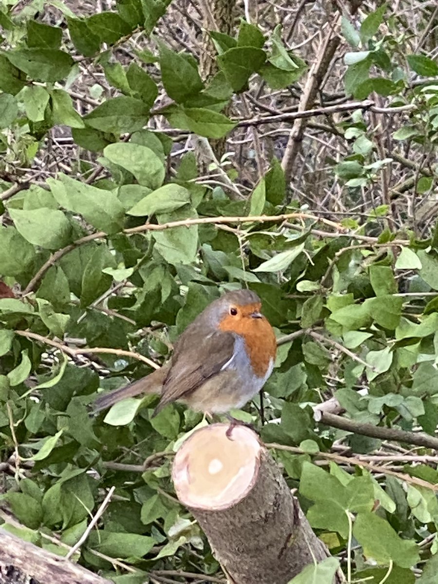 Lara Lowe tweet media